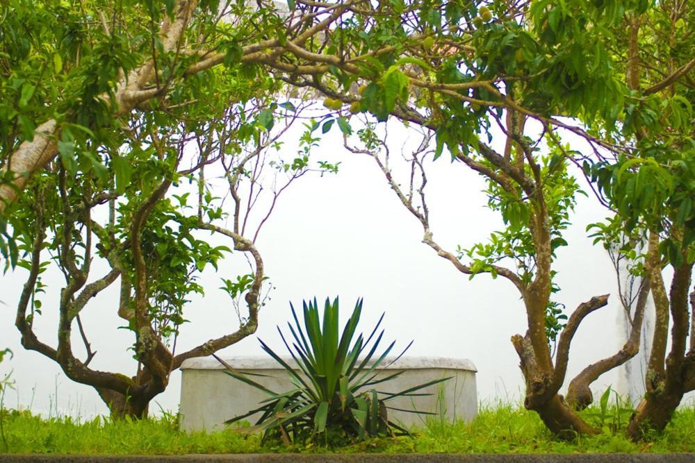 Casa Do Comendador São Roque do Pico Esterno foto